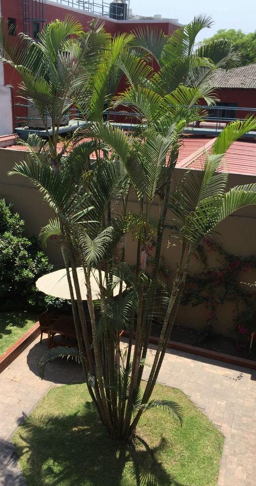 San Antonio Abad Hotel 3*